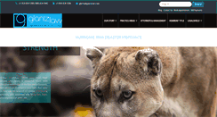 Desktop Screenshot of glantzlaw.com